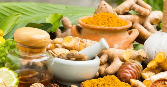 Read more about the article Ayurveda Courses in India 2021-22: Eligibility, Profile, Scope and Much More!